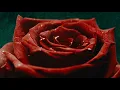 Imminence - Temptation [Visual Experience]