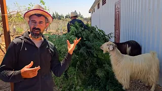 كيف صارت المزرعة بعد ١٠ شهور من الشغل فيها