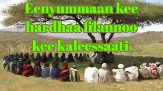 oromoota ormaa xaanaa beektuu