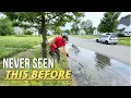 Download Lagu This Flooded, Overgrown Yard Was ALIVE — and HIDING Something Wild