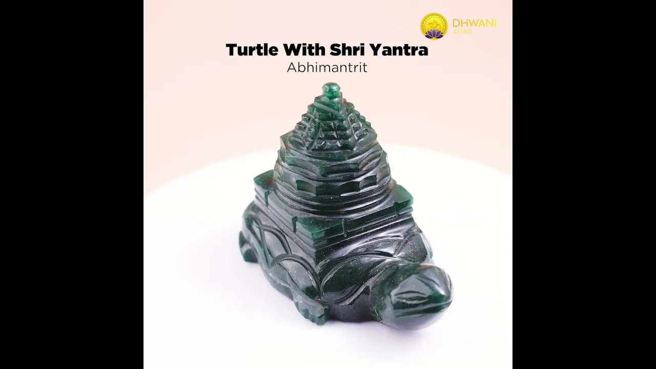Turtle With Shri Yantra