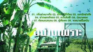 อย่างเพราะ กลิ่นฟางนางลืม/ฝากใจไว้ที่เดือน/ห้องนอนคนจน