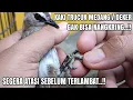 Download Lagu CARA MENGATASI KAKI TRUCUK YANG MEDANG / DEKER