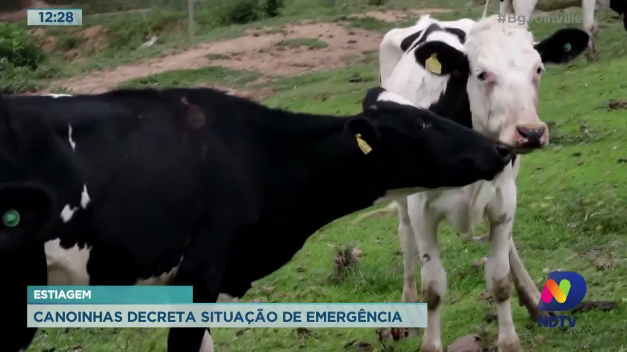 Estiagem: Canoinhas decreta situação de emergência