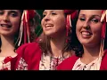 Колектив "Зозуленька" - Розпрягайте хлопці коней