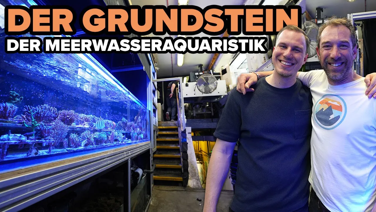 Über 1 Millionen NEUE KORALLEN! - Hinter den Kulissen von Jamie Craggs in London