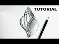 How to Draw a Seashell Pencil Tutorial