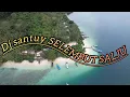 Download Lagu DJ santuy SELEMBUT SALJU