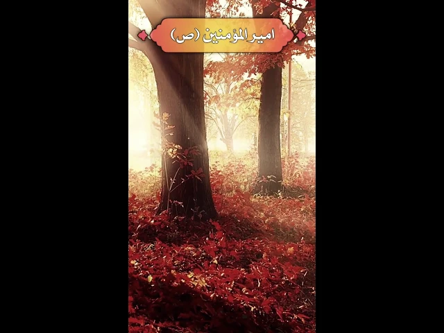 ⁣حديث | لو قد قام قائمنا