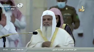 تقرير مميز حول إعادة فتح المساجد قناة زاد العلمية 