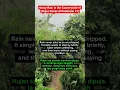 Download Lagu heavy rain in the countryside#1 Hujan Deras di Pedesaan #1