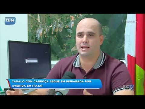 Cavalo com carroça quase provoca acidente em Itajaí