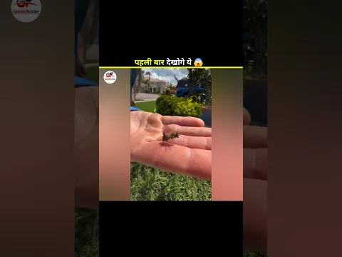 Why Do Bees Die After Stinging 😱