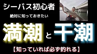 【シーバス釣り】満潮と干潮どっちが釣れる？永遠のテーマに切り込み初心者でも正しい知識を手に入れるための基礎講座！