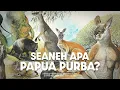 Download Lagu Bagaimana Papua Purba Menyimpan Banyak Misteri? | #BelajarDuniaPurba