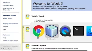 Debugging Getting Started in NetBeans
