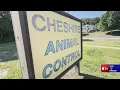 Cheshire Animal Control officer resigns after investigation