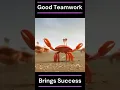 Teamwork #3 | Good teamwork | Success | Life lessons | Inspirational video