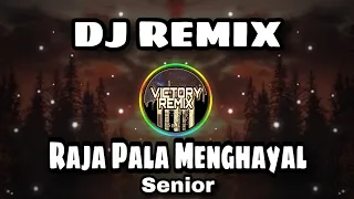 Download DJ REMIX RAJA PALA MENGHAYAL - SENIOR MP3