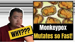 Our immune system caused Monkeypox to mutate so much and so rapidly (a published hypothesis)