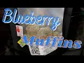 Blueberry Muffins Review