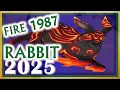 Rabbit Horoscope 2025 Fire Rabbit 1987 January 29 1987 to February 16 1988