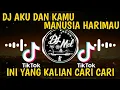 Download Lagu DJ AKU DAN KAMU SATU (MANUSIA HARIMAU) TIK TOK VIRALL TERBARU [Ucil Fvnky]