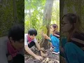 Download Lagu bodor Sunda mukbang buah nangka