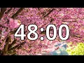 48 Minutes Timer with Music Cherry Blossom Timer