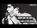 Adam and the Ants  - Family of Noise [Fan Remix]