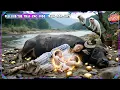 Download Lagu สาวท้องลูกแฝดถูกชู้ร้ายทำร้าย ห้าปีต่อมาเธอกลับมาเพื่อล้างแค้นและหาลูก