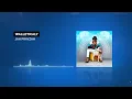 Jah Prayzah - Walletically