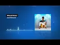 Download Lagu Jah Prayzah - Walletically
