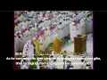 Download Lagu Surah Al-Fajr (The Dawn) [English Translation] Ali Jaber علي جابر