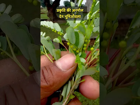 #farming #ihavethisthingwithplants #lifeisbutadream