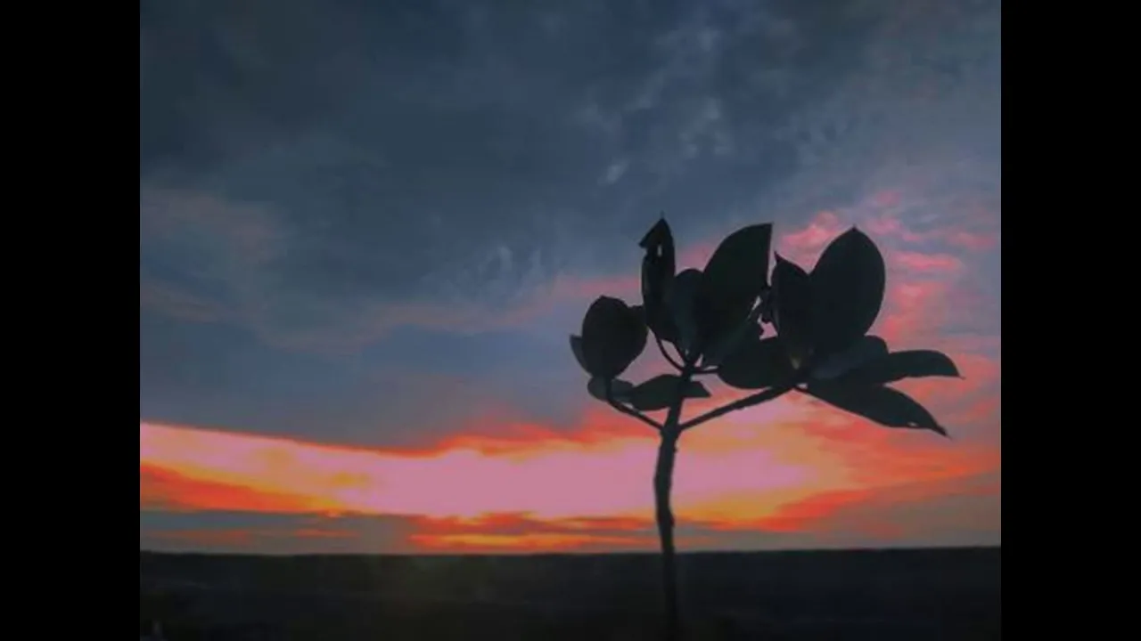 Bidadari Senja Smvll (Official Music Vidio)