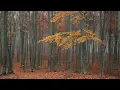 [AS BUMP] Nightmares on Wax - On It Maestro