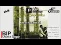 Download Lagu Best 5 BIP Album Udara Segar (Ipang)