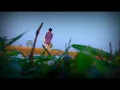 Download Lagu Raithanna RaRaju Nivenanna #farmers #farming #farmer #india #farmlife  #farmerslife   #public