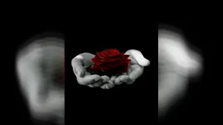 أجمل أغنيه حزينه عن غدر الزمن      دندنها