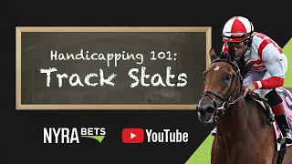 Horse Racing Handicapping Tutorial - Track Stats