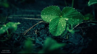 suara hujan dan petir untuk terapi tidur dan relax