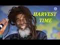 DON CARLOS HARVEST TIME MUSIC VIDEO