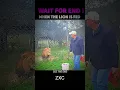 when lion is fed #phonk #trending#lion#tiger#viralsong #bass#animal #viral#zxc#short#shorts# #visual