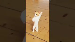 طلع الزين من الحمام 