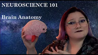 Neuroscience 101 - Brain Anatomy