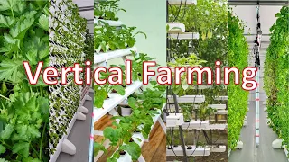 Vertical Farming Explained: The Game-Changer for Future Food Sustainability