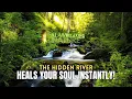 Download Lagu “The Hidden River That Cools Your Mind and Heals Your Soul Instantly!”