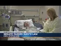 Senate passes Judy s Law