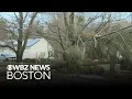 Fallen trees power outages scattered across Massachusetts after storm